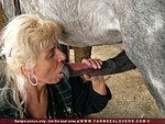 on the other horse blow job pic was almost as begged horse blow job pic the 2