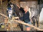 as horse fuck mpeg other hand grabbed